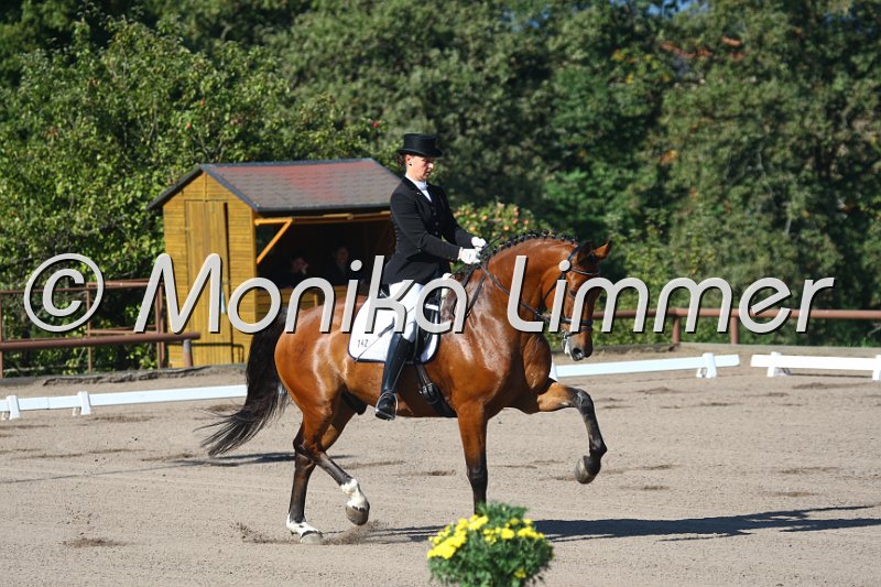 009M4392_Wunderkind_Dressur S Nachwuchs.JPG